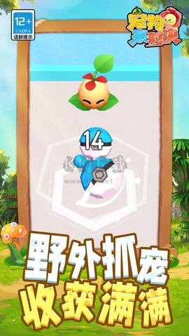 宠物来对决[图1]