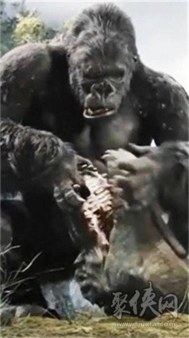 哥斯拉金刚王国图2