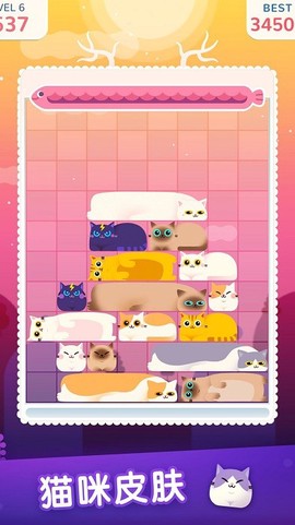 土耳其猫咪消除图2