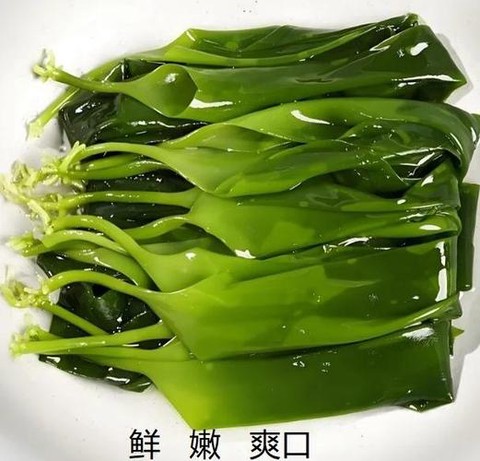 迷你世界海带怎么种[图2]