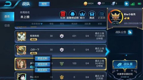 王者荣耀战队如何踢人[图1]