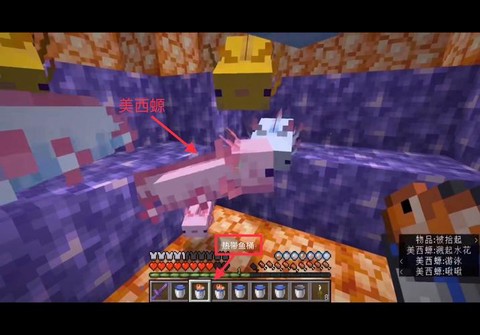 我的世界动物吃什么[图2]