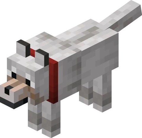 我的世界狼怎么染色[图1]