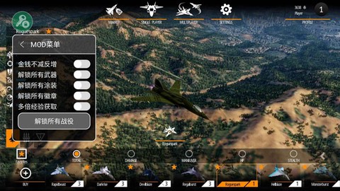 搏击长空：无限战机图2