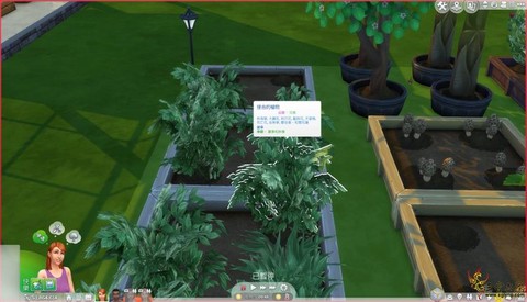 模拟人生4怎么让植物[图1]