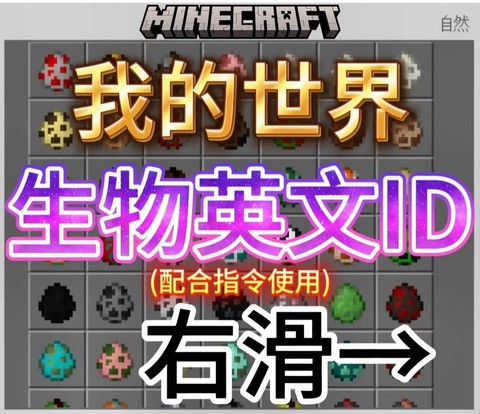 我的世界id怎么输入[图2]