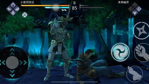 暗影格斗3怎么进不去[图1]