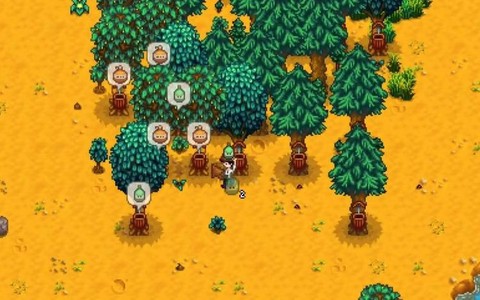 星露谷物语枫树什么