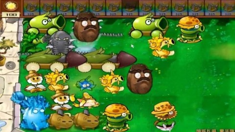 新植物僵尸大战[图1]