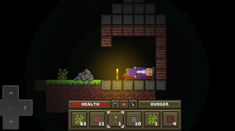 菜鸟生存模拟器[图4]