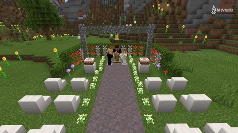 在我的世界中怎么结婚