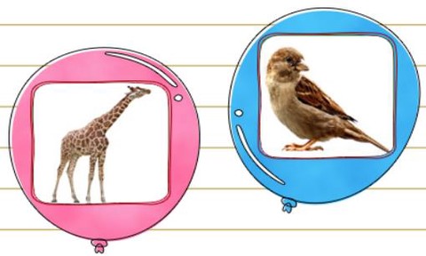 儿童学动物乐园[图1]