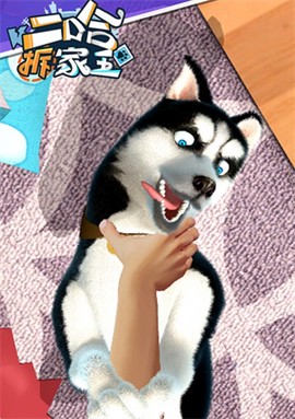 二哈拆家王[图1]