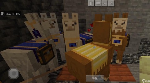 我的世界羊驼装备什么