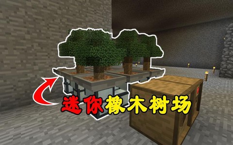 迷你世界橡木板怎么做[图2]