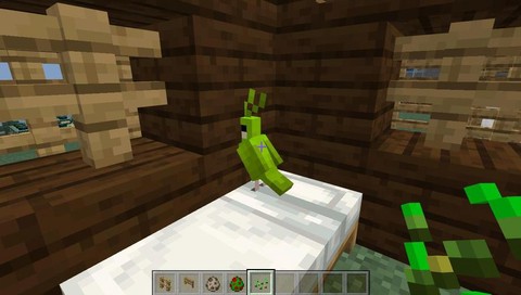 我的世界怎么驯服鹦鹉[图1]