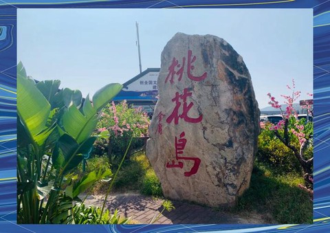 九阴真经桃花岛怎么样[图1]