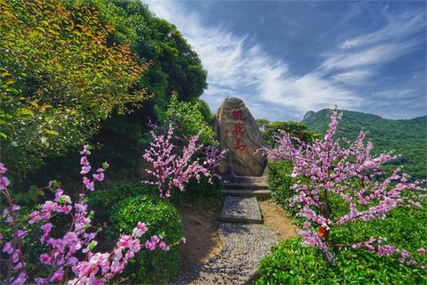 九阴真经桃花岛怎么样[图2]