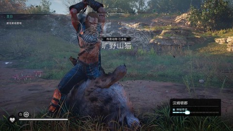 刺客信条英灵殿怎么抓猫[图1]