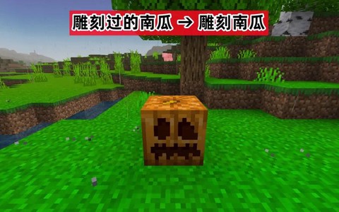 我的世界南瓜怎么雕刻