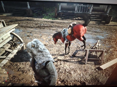 荒野大镖客猛禽是什么