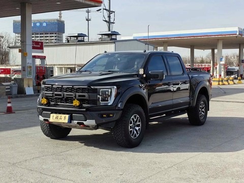 荒野大镖客猛禽是什么[图2]