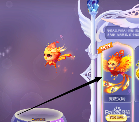 qq炫舞灵猫怎么变