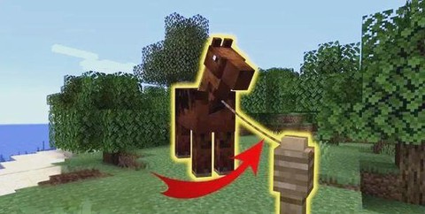 我的世界拴绳怎么固定[图2]