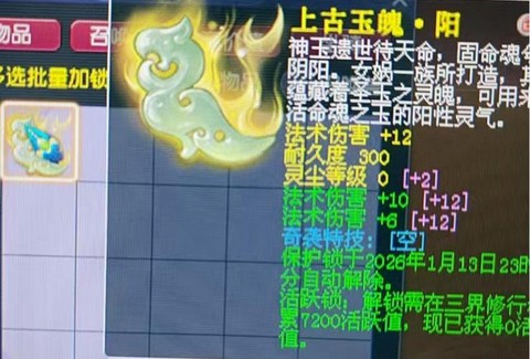 梦幻西游变异宝宝怎么洗