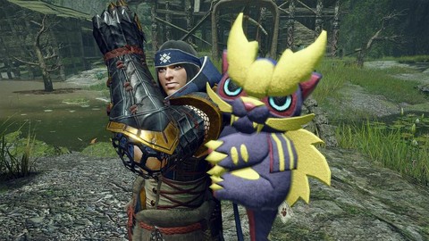 怪物猎人玩的是什么