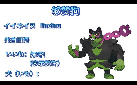 口袋妖怪狗圈是什么