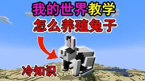 我的世界兔子怎么驯服
