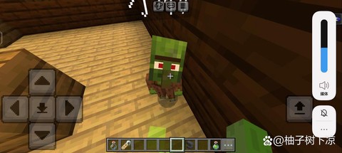 我的世界小僵尸怎么驯服[图1]