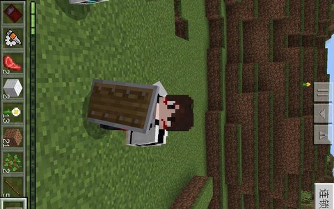 我的世界手机版盾牌怎么用[图1]