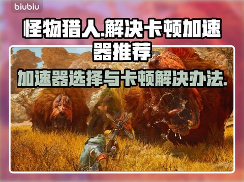 怪物猎人z顺什么意思