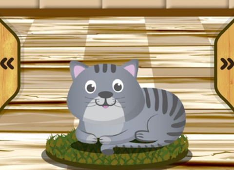 我的动物世界[图1]