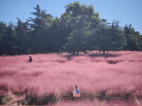 qq炫舞粉色云朵怎么得[图1]