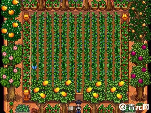 星露谷物语果树怎么种