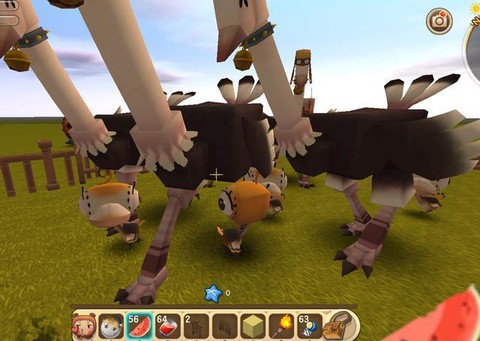 迷你世界怎么养鸵鸟