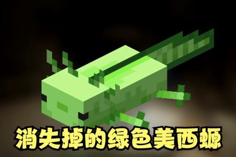 我的世界绿色条是什么