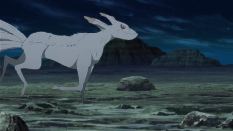 火影忍者五尾叫什么[图2]