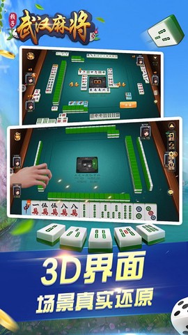 武汉赖子麻将图2