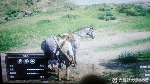 荒野大镖客怎么加体力[图2]