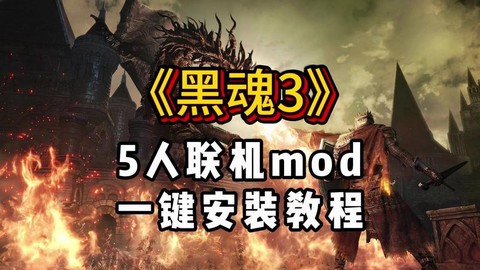 黑魂3好友怎么联机[图2]