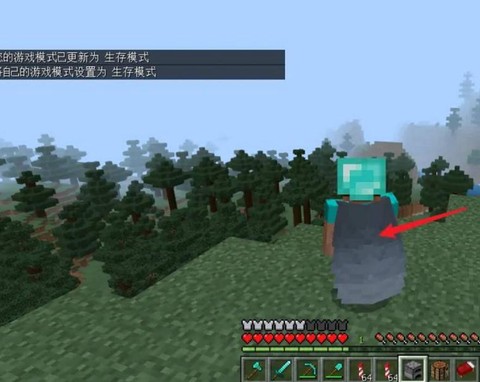 我的世界手机版翅膀怎么用[图2]