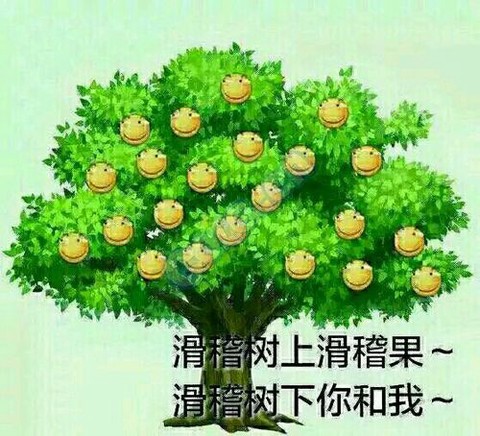 dnf滑稽树是什么意思[图2]