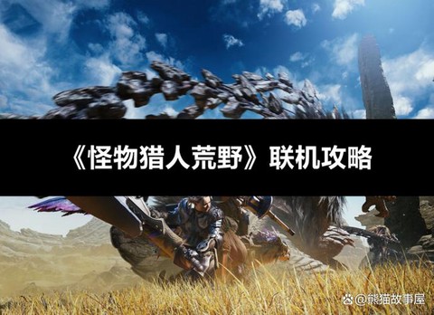 怪物猎人2怎么联机