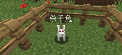 我的世界杀手兔怎么召唤[图2]