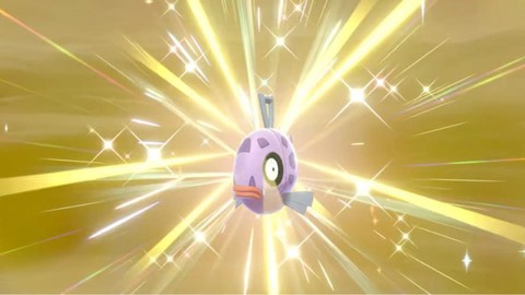 口袋妖怪妖闪是什么