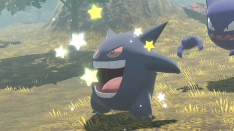 口袋妖怪妖闪是什么[图1]